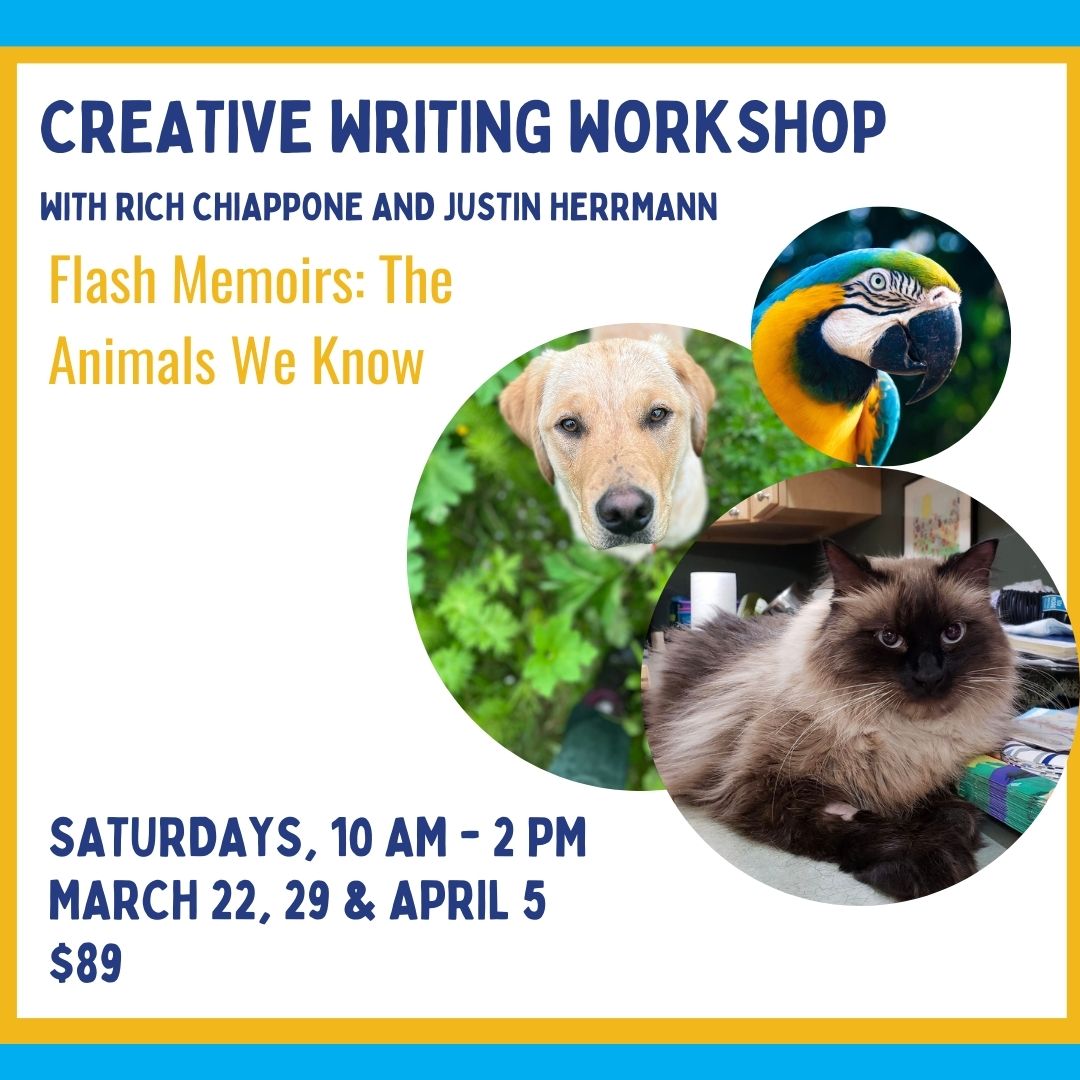 a yellow lab, a Himalayan cat and a macaw with dates and times of the class