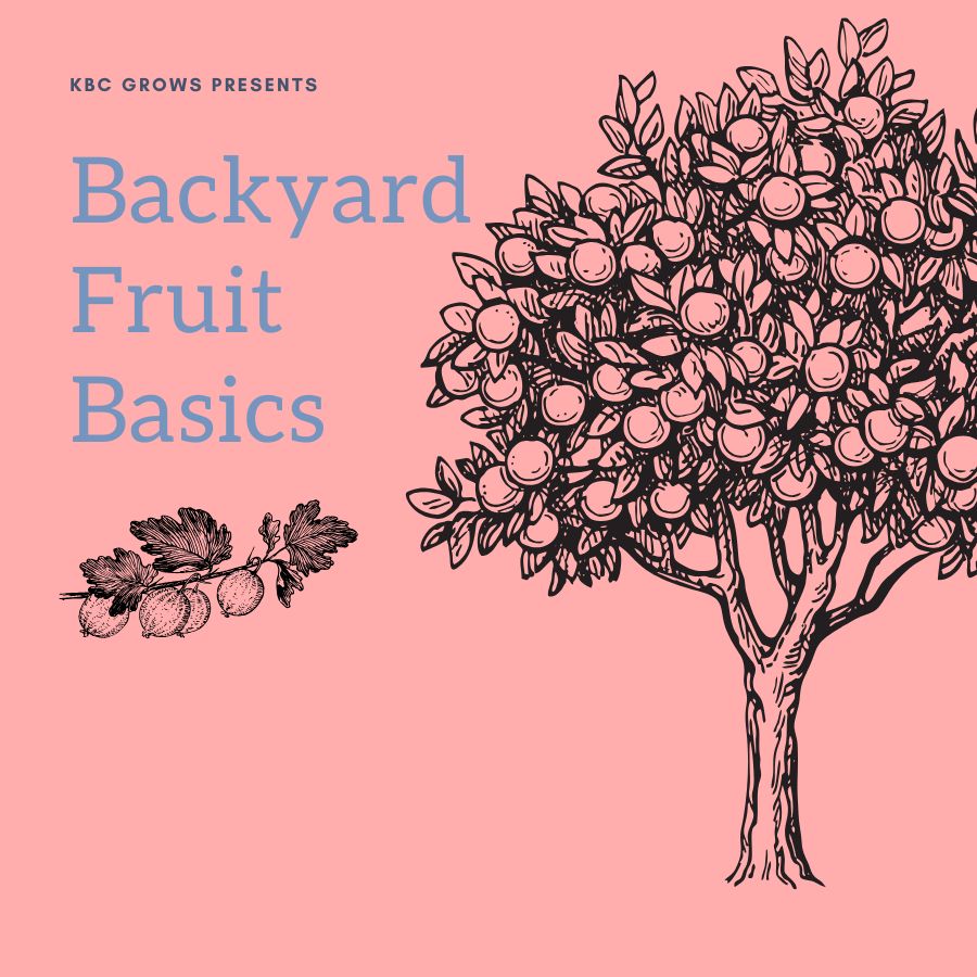 A graphic saying backyard fruit next to a tree with fruit and a berry leaf.