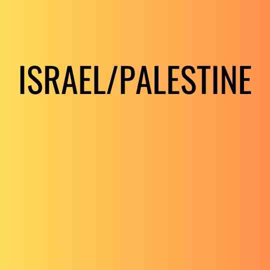the words Israel/Palestine