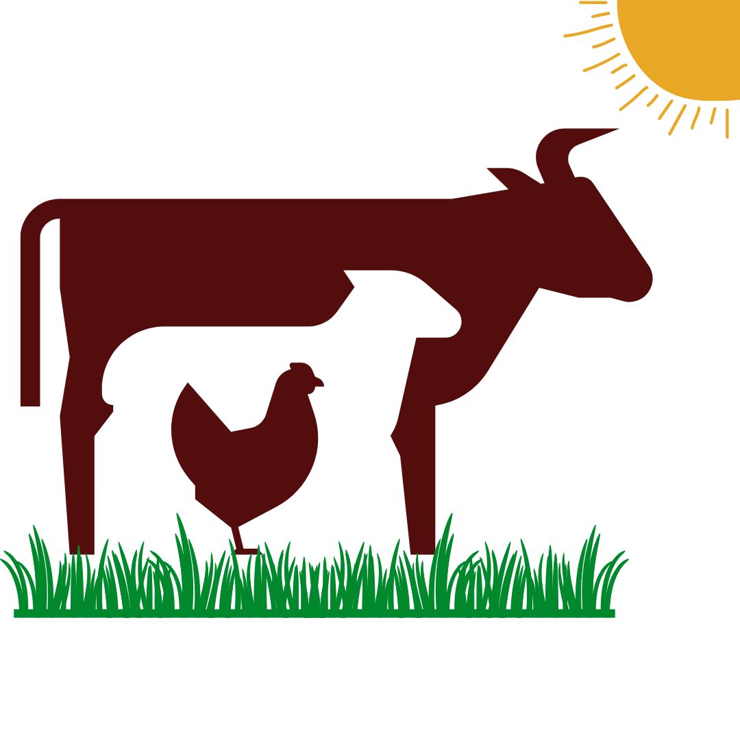 a graphic of a cow, lamb and chicken on the grass with a sun