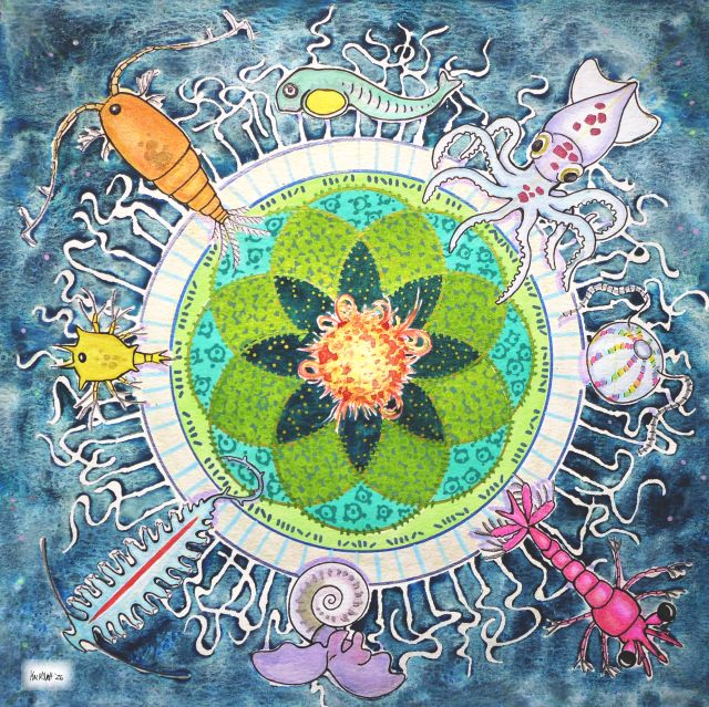 a colorful mandala decorated with plankton
