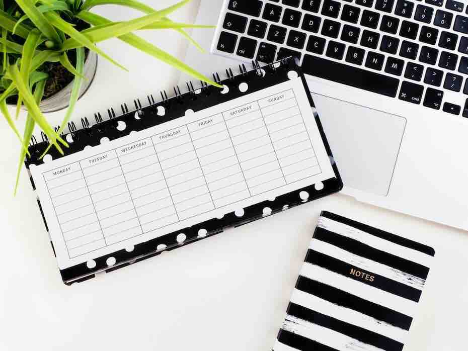 Black and white planner and notebook with plant and laptop
