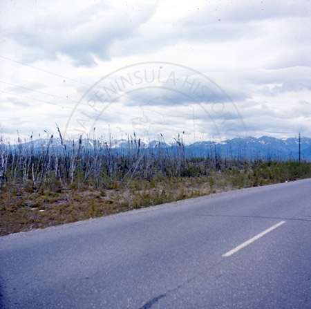 Kenai forest fire burn of 1947, Sterling Highway, Sterling 1966