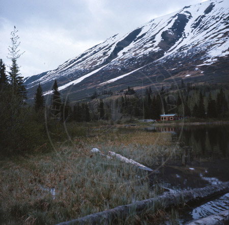 Cabin at Summit Lake, 1966