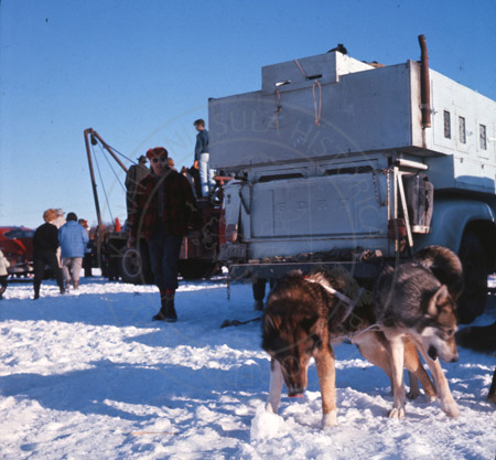 Dr. Roland Lombard's truck and sled dogs, Alaska State Champion sled dog races 1964