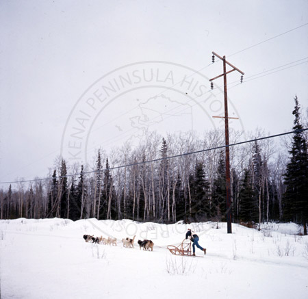 John O'Kane, Alaska State Champion sled dog races of Kenai and Soldotna 1964
