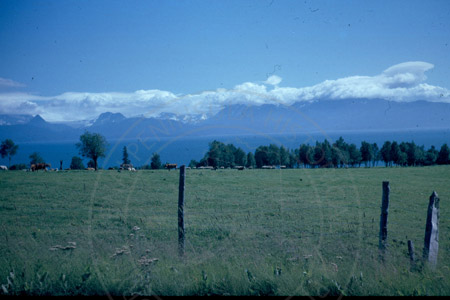 Pastoral view of early Diamond Ridge homestead, Homer 1963