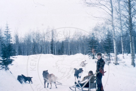 Billy Stock and Billy Bear with sled, Soldotna 1955
