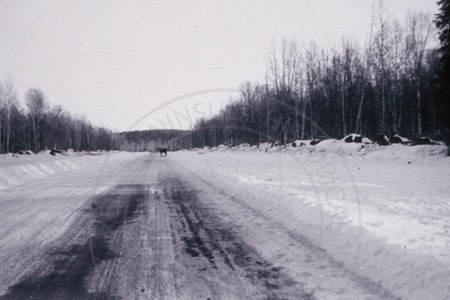 Kenai Spur Highway mile 1, Soldotna 1950