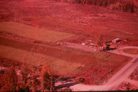 Aerial view of Faa homesite in Soldotna, 1955