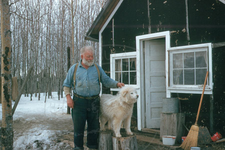 Alfred Trettevik and dog at Armstrong Temlock Cabin, Soldotna 1955