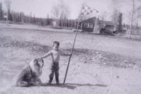 Paul Reger & his dog Laddie, Soldotna 1955
