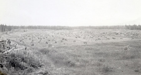 Hay field off Robinson Lake Loop, Sterling late 1950's