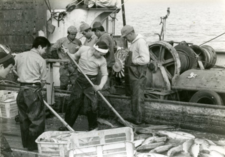 Japanese buyers in Cook Inlet, 1967