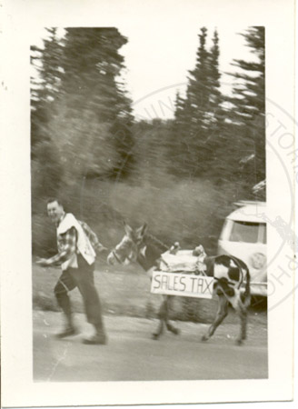 Harold Pomeroy with donkey at Soldotna Progress Days parade, Soldotna 1964