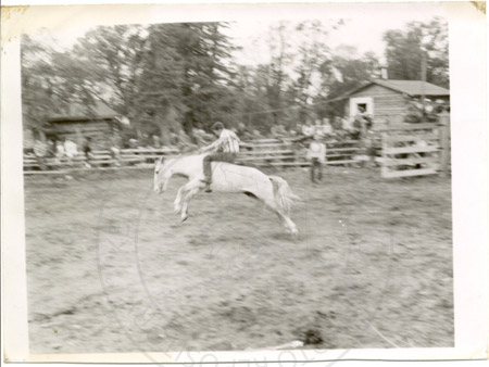 Rodeo performance at the rodeo grounds, Soldotna 1960