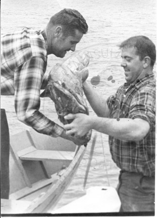 John Hulien with moose meat, Kenai River 1960