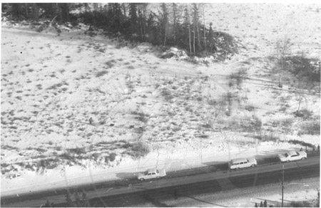 Alaska State Champion sled dog races, Kenai Spur Highway, Kenai 1962