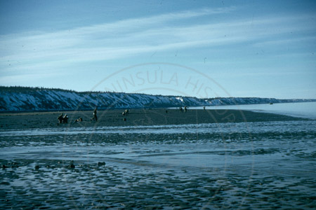 The beach at Clam Gulch, early 1950's