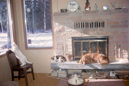 The inside of Virgil Dahler's house and his pets, Sterling late 1960's