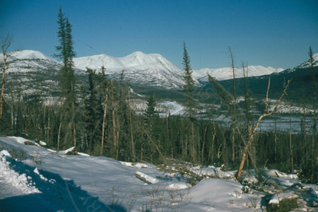 Winter scene in the Kenai Mountains, Sterling Highway mid 1950's