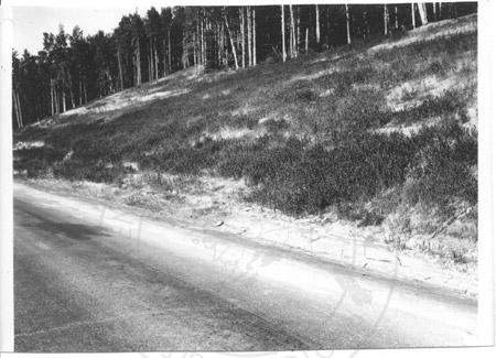 Repaired erosion in the Kenai Mountains along the Sterling Highway near Jean Lake, Kenai Peninsula 1964