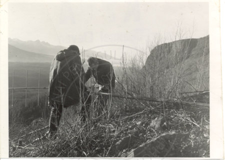 KTVA Channel 11 employees setting up TV cable to serve the Kenai Peninsula, Turnagain Arm early 1970's