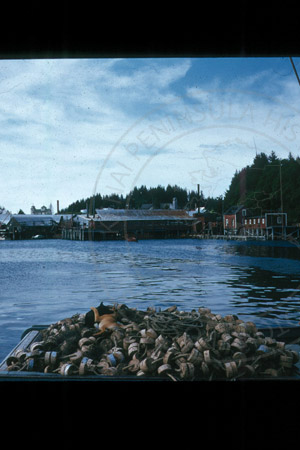 Seldovia waterfront, 1956