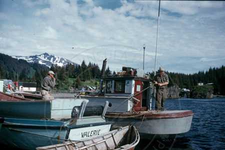 Fishermen at work on the waterfront, Seldovia 1956
