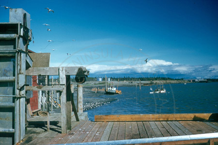 Daubenspeck's cannery dock and Kenai River, Kenai 1956