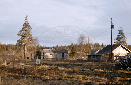 A homestead in Deep Creek near Ninilchik, 1956