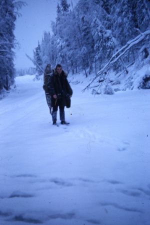 Dave Remley holding his snowshoes on the way to Art Frisbee's cabin, Skilak Lake 1955