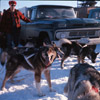 Lombard's sled dogs, Alaska State Champion sled dog races