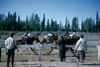 Progress Days, Centennial Park, Soldotna 1966