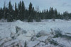 Kenai River Flood, Soldotna Creek Park, Soldotna 1968