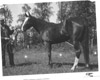 Larry Lancashire and horse, Soldotna 1963