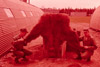 Servicemen with skinned and draped bear at Wildwood Air Force Station, Kenai 1956