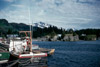 Boats on the waterfront, Seldovia 1956