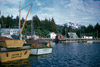 Boats on the waterfront, Seldovia 1956