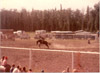 A rider getting bucked off a horse, Soldotna 1960's