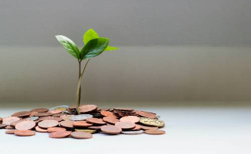 Small sprout growing out of a pile of coins